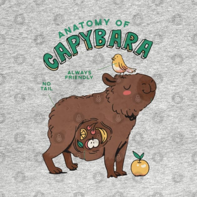 Anatomy of a Capybara by Digital-Zoo